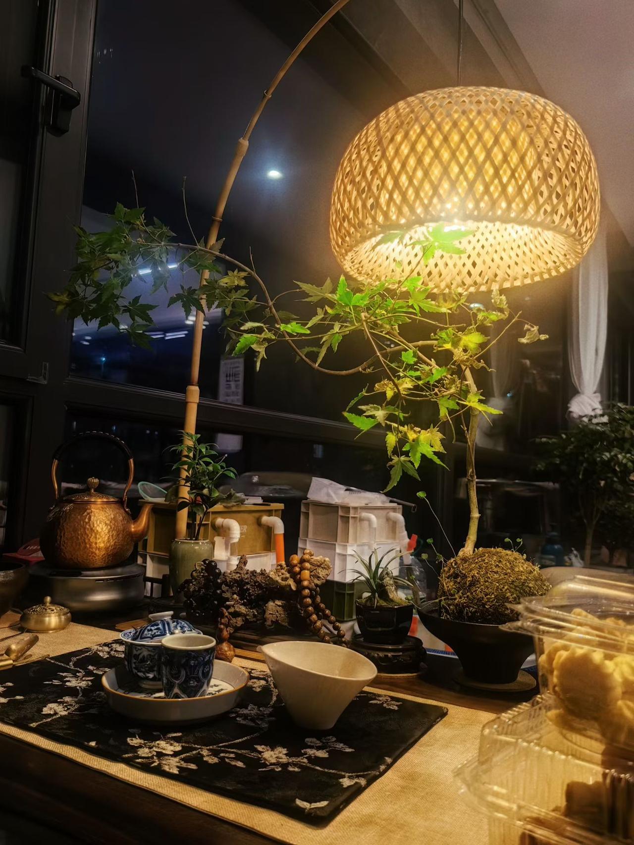 夕阳一抹胭脂红，残花深巷冷风中。​涑堤景色恰恰好，不觉此刻是初冬。​行人身寒