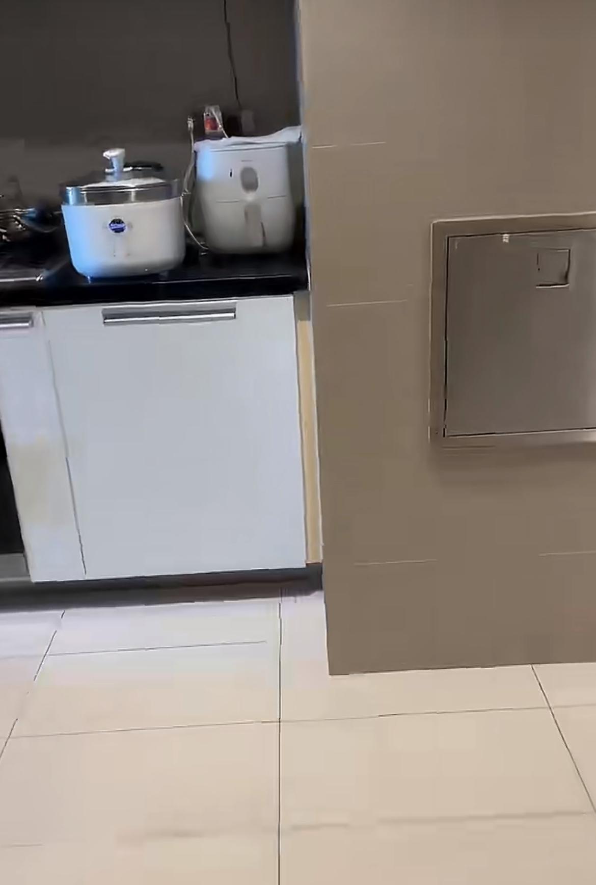 华人女子夸赞新加坡富人区足不出户就能扔垃圾，垃圾通道通到了厨房里面，一打开盖子就