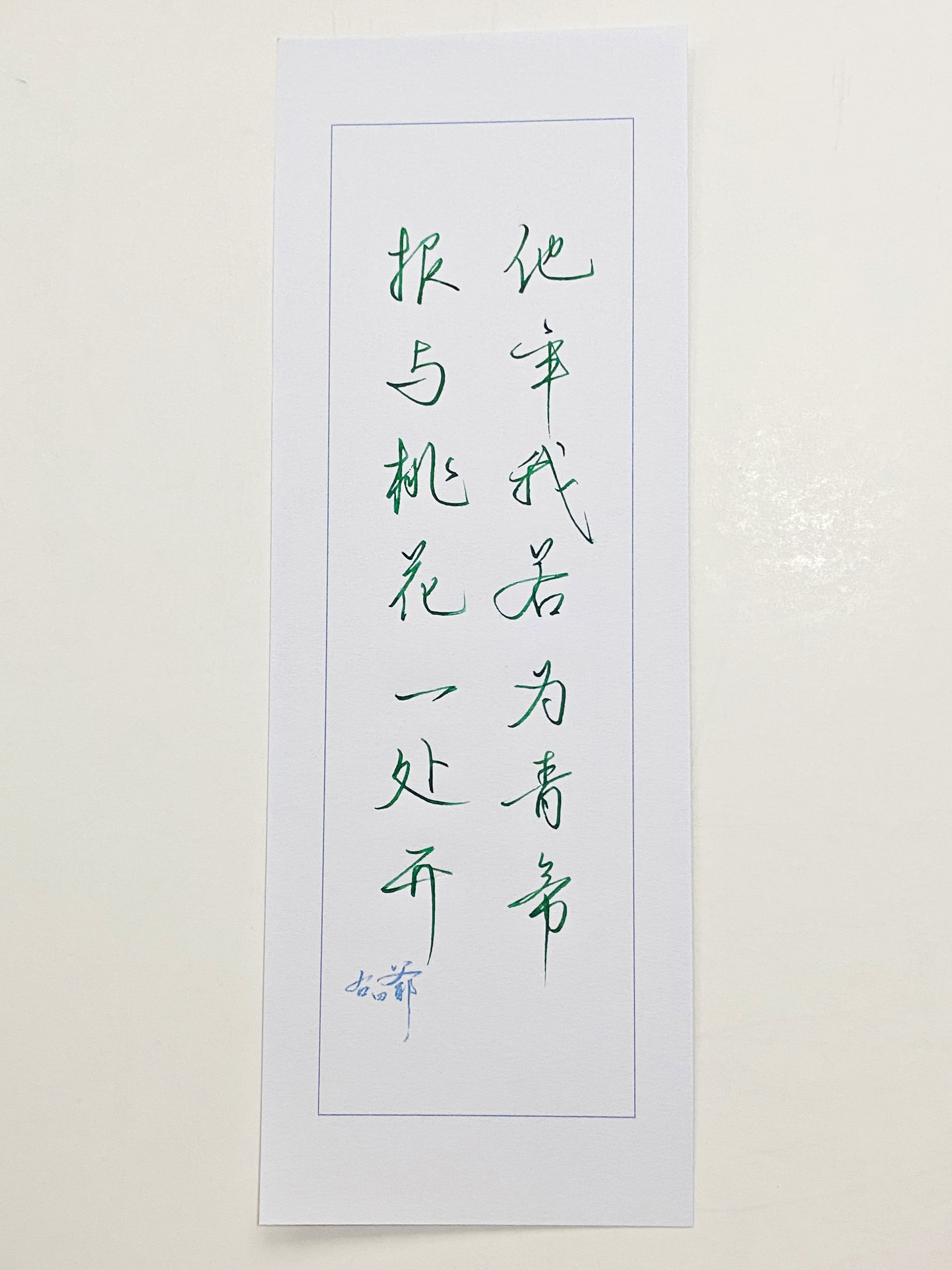 练字报与桃花一处开