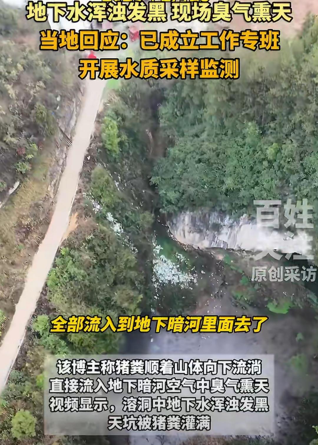 溶洞排污：生态口号喊得响，猪粪却偷偷灌进暗河[汗][汗]？打造旅游城市，是靠