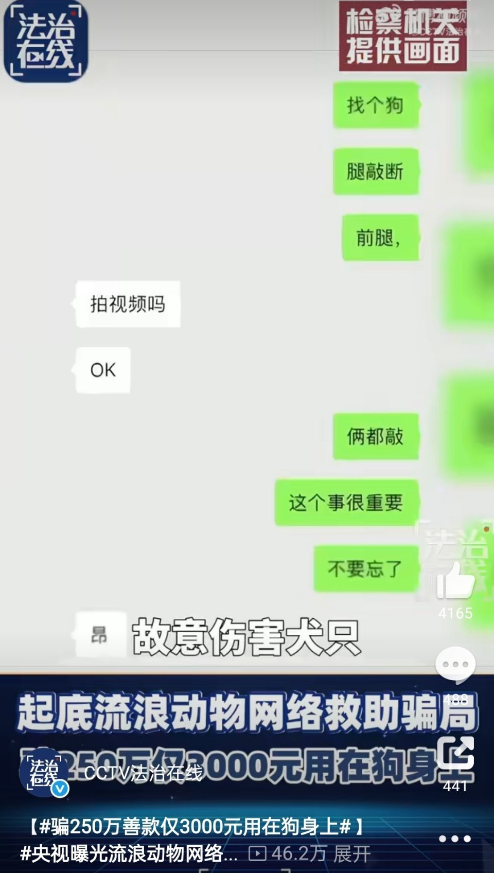 拿猫狗拍段子骗捐款，已经形成产业链了