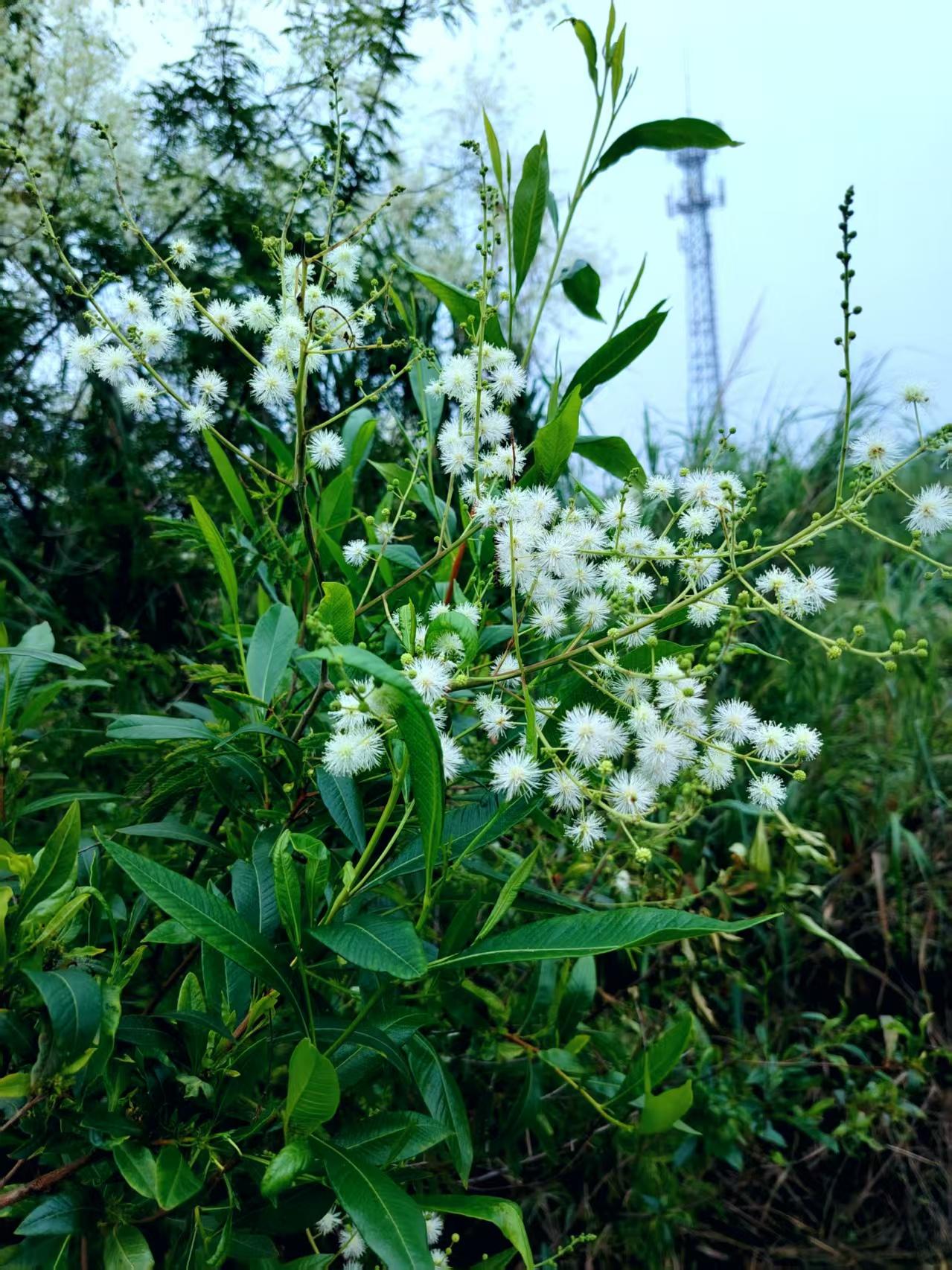 初一期末考试，小明数学考了58分，回家被老妈抓个正着，顺手抓起衣架。眼看就要挨揍