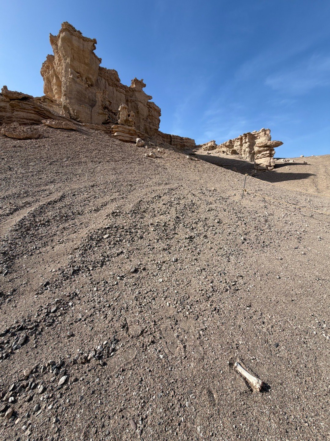 新疆哈密大海道无人区，一个人迹罕至的角落，发现一根…我现在应该怎么办？在线等…