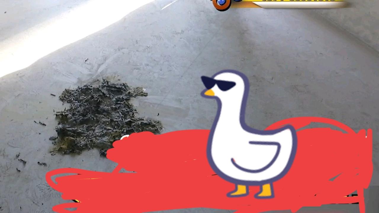 一女子刚进入新房，就发现屋里竟然有一堆烧过的“纸灰”，之后果断报警，一查才知道做