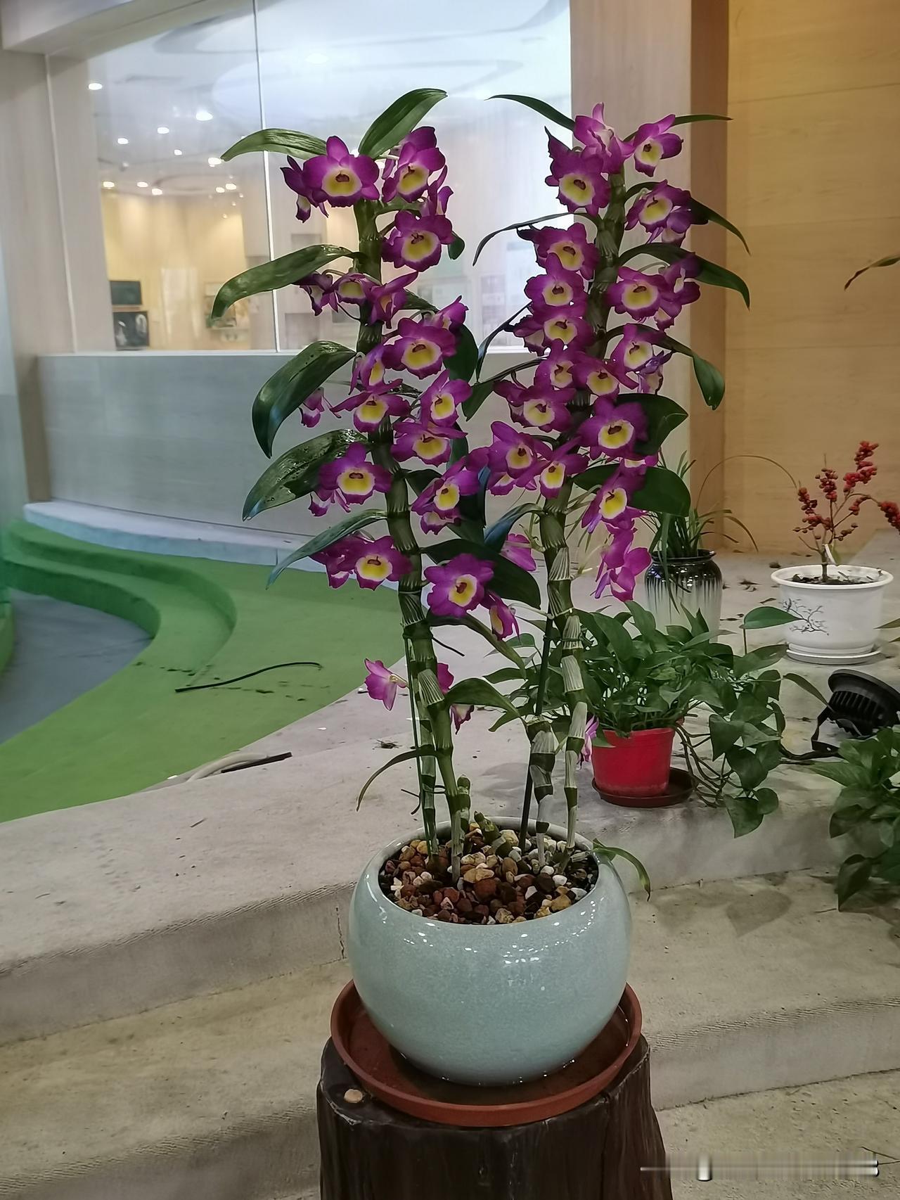 离婚后的第一个春节，我买了回家的票，但家人们叫我别回去，说我回去不吉利，我懂，主