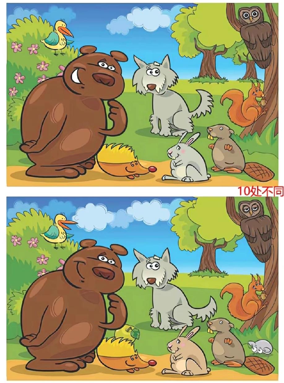 森林动物的两幅图藏10处不同，评论区说说你最先发现的是哪里不一样！