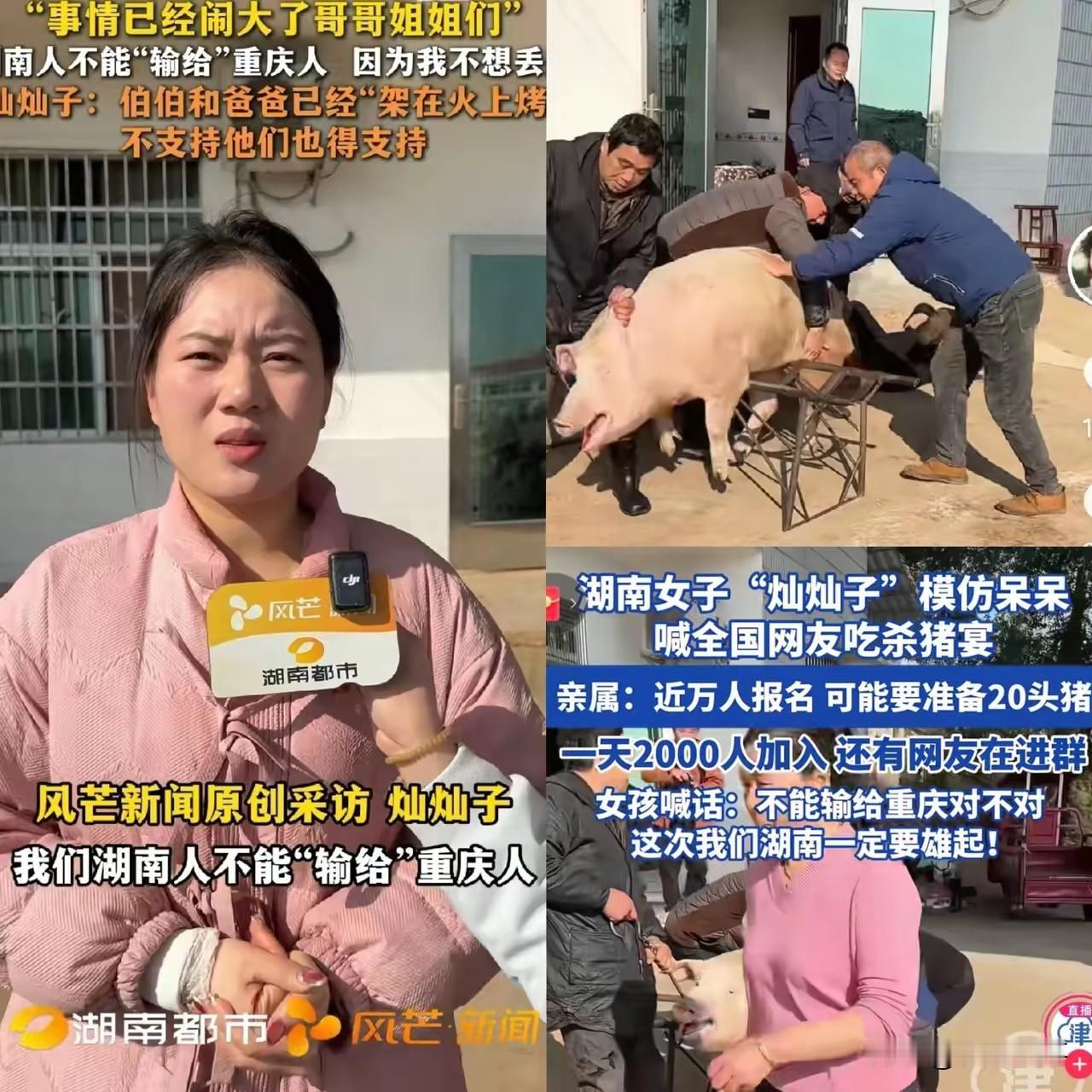 这回事情闹大了！湖南灿灿看重庆呆呆的刨猪宴火了，直接把自家原定的刨猪宴提前，还