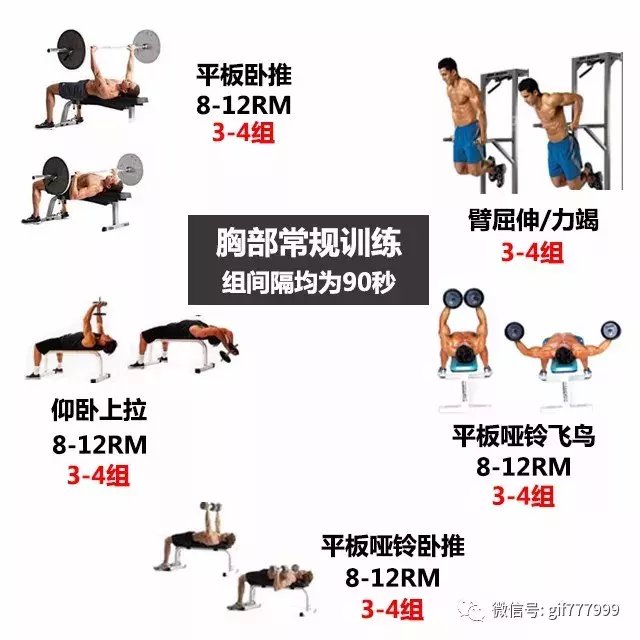 全身各个部位的常规训练, 新手别错过了
