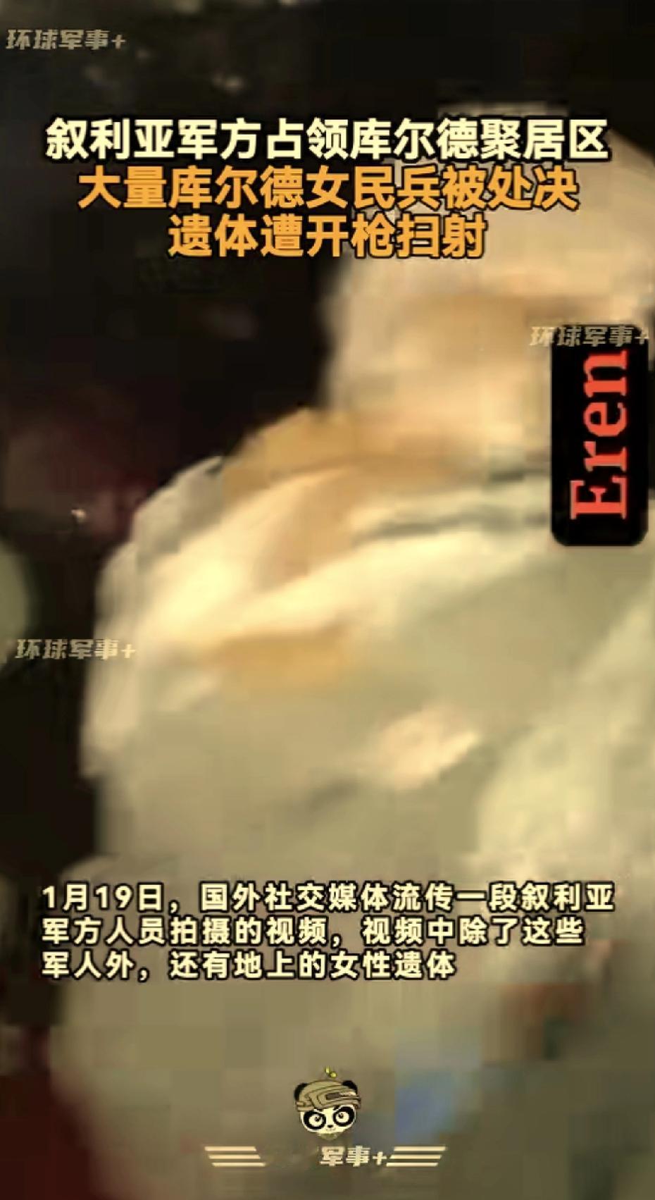 巴沙尔走的时候，叙利亚人民欢天喜地。这盛世如他们所愿，叙利亚人民终于通过西方文