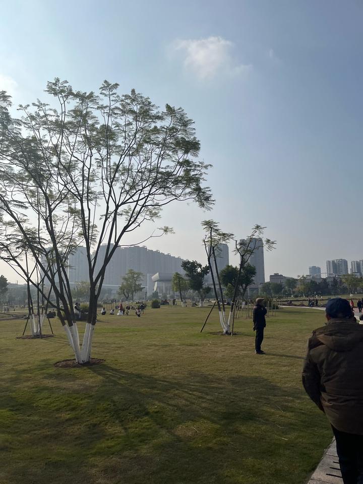 阳气一弱，水湿就重我们回到农村，看到早上的雾很大，但一点都不用担心，只要太阳
