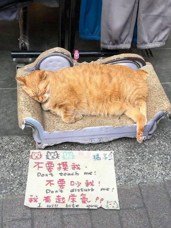 善意提醒