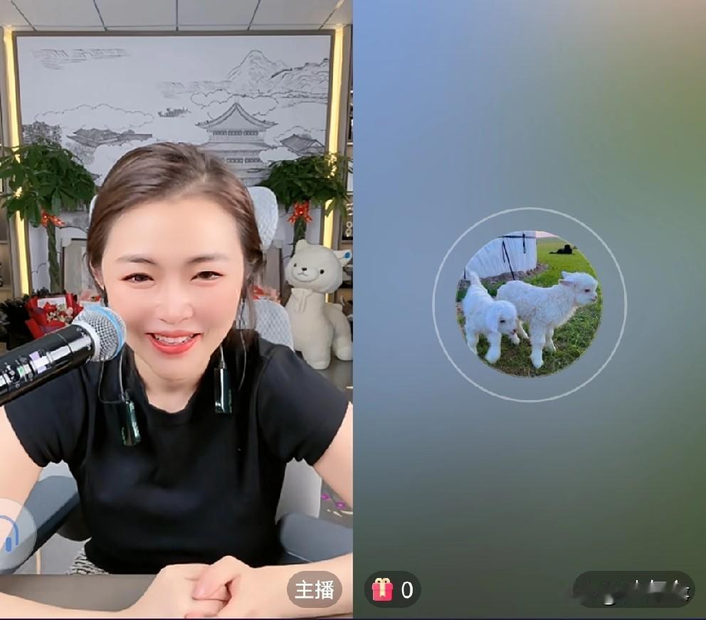 终究是醋王承担了所有，我是导演，我割韭菜坑粉丝礼物，你们愿意打愿意，不愿意打不愿