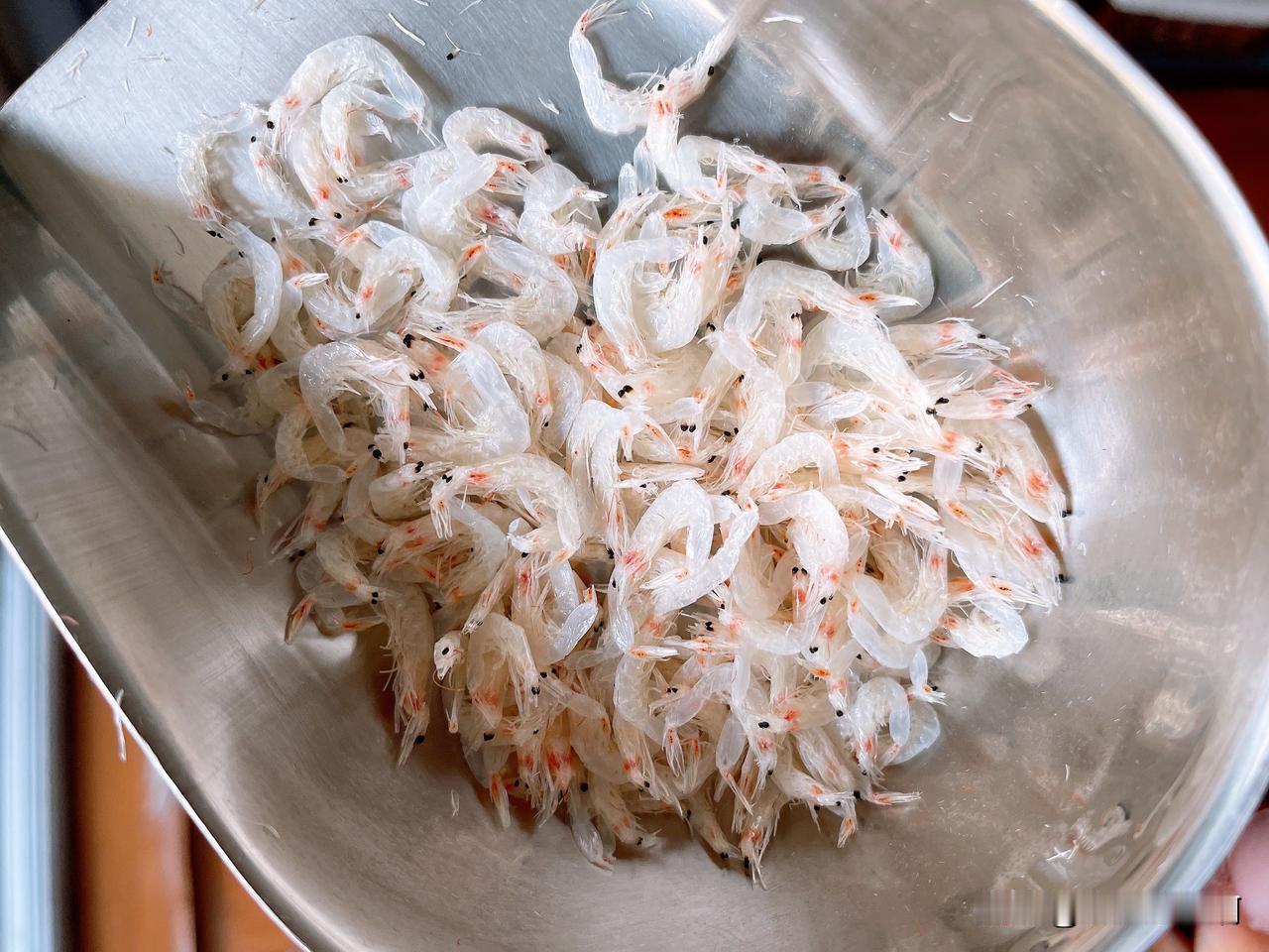 糟糕到极点。今天真的很糟糕。刚到家，买了六百块左右的吃的，三袋子面包。又去