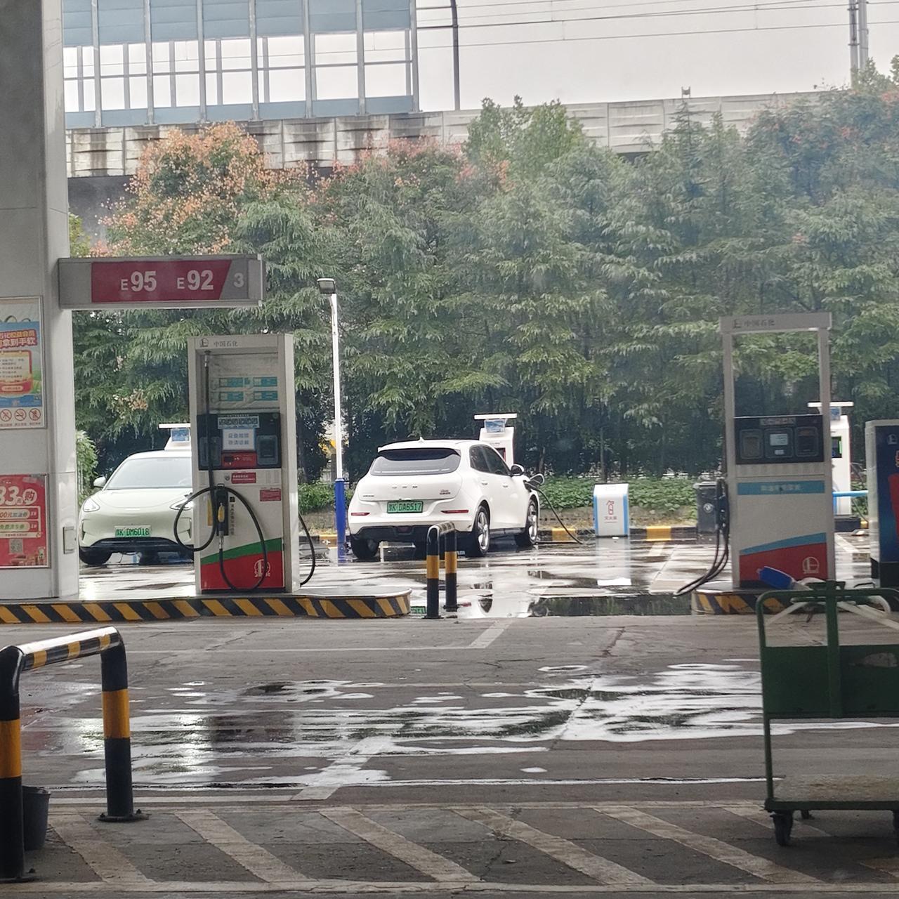 开着我的吉利熊猫去旅游，被褥之类的都带上了。本想着能省下旅途住宿的费用，可谁知呢