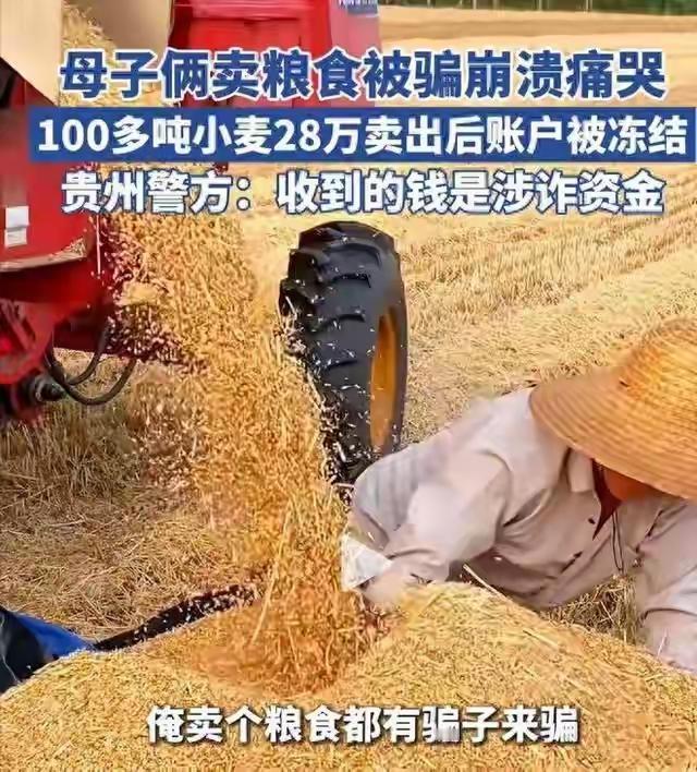 这是一个好消息，能让人长舒一口气的好消息：卖粮食100多吨，收款28万，因涉嫌诈