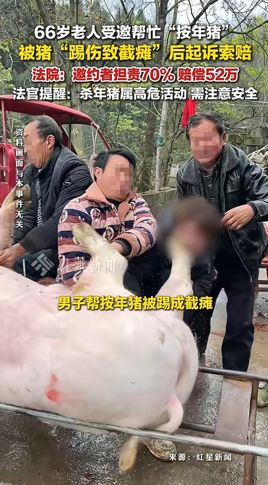 “冤不冤！”四川，一男子过年前准备杀猪，因为一人按不住，便邀邻居来帮忙一起按猪，
