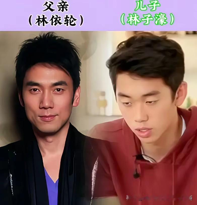 娱乐圈有很多这样的父子。林依轮&林子濠、张国立&张默、张丰毅&张博宇陈宝国&
