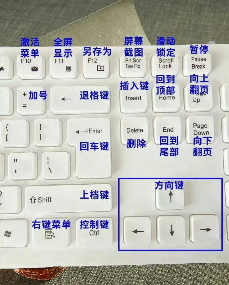 为什么刚开始学电脑的时候没人告诉我