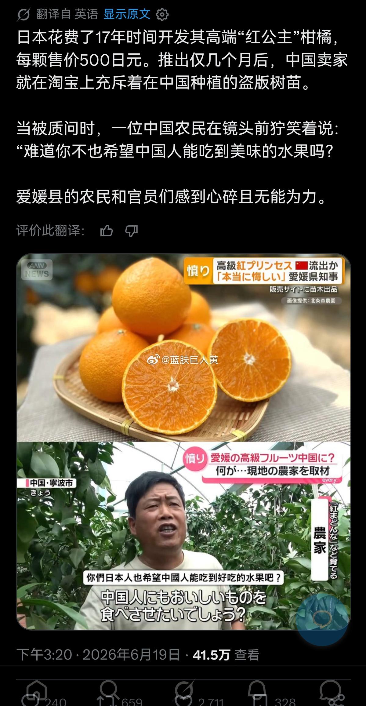 最近日本一直在指控“中国偷了日本开发的高端柑橘红公主”，结果转推区的外网评论大翻