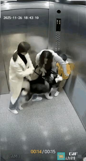 养狗能不能控制一下？