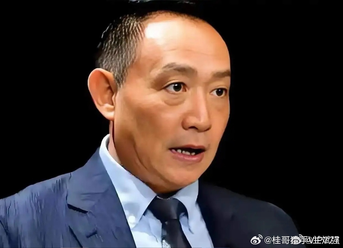 【最狠的间谍是怎样的？】卢麒元说：最狠的间谍，不偷你的情报，也不策反你的人，就像