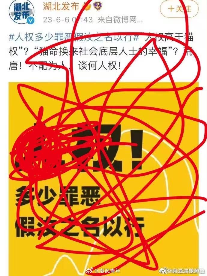 谁还记得这个事，人权不高于猫权[捂脸哭]​​​
