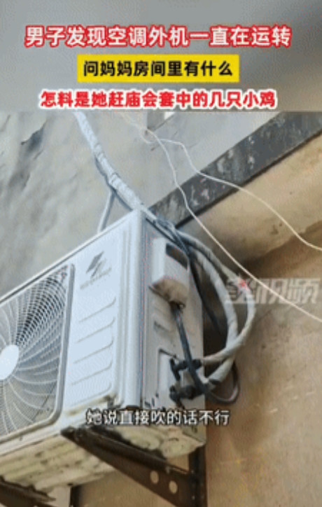 有钱就是任性，安徽男子发现自家空调在运作，母亲说楼上有小鸡，怕他们热到，所以给它