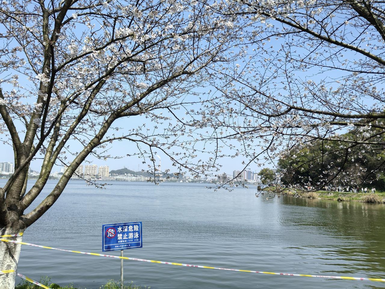 上海造船业看似形势大好，三大船企手持订单排到2030年，一季度交付13艘高端船舶