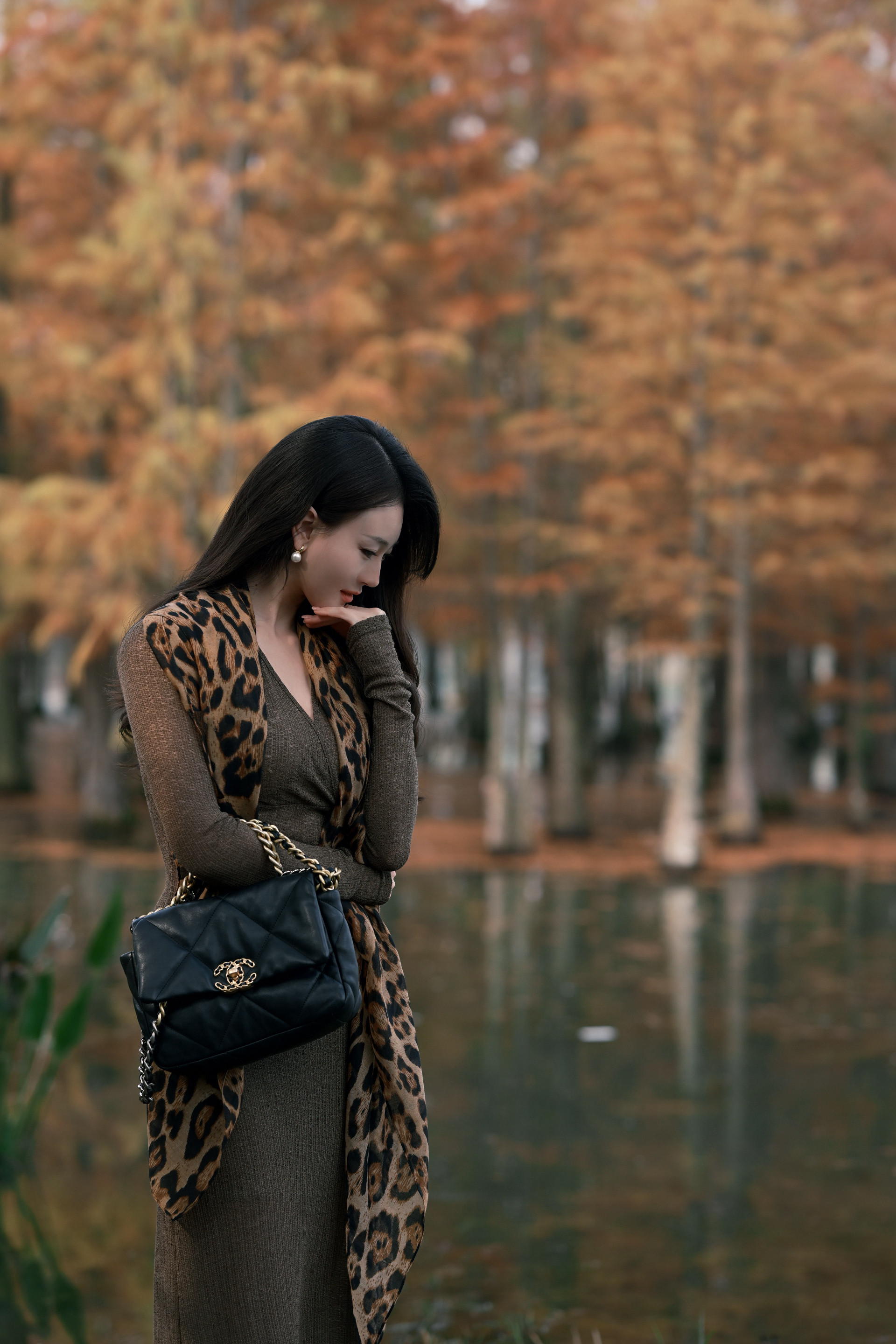 落羽杉红了故人好似风中落叶