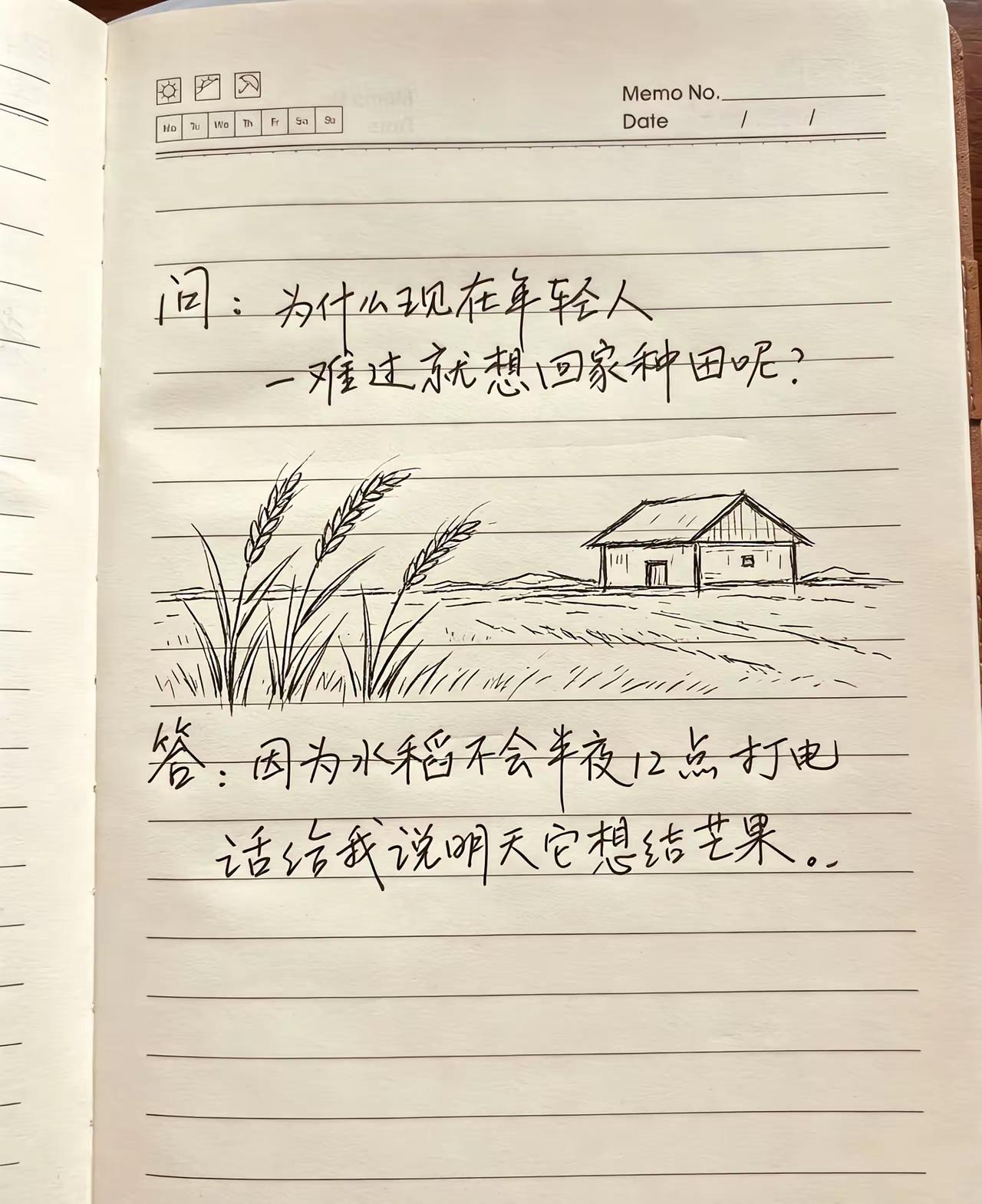 种田？前期各种农县，种子+耕田+农药+肥料+收割！蛇皮袋0.5——1块！还不如扫