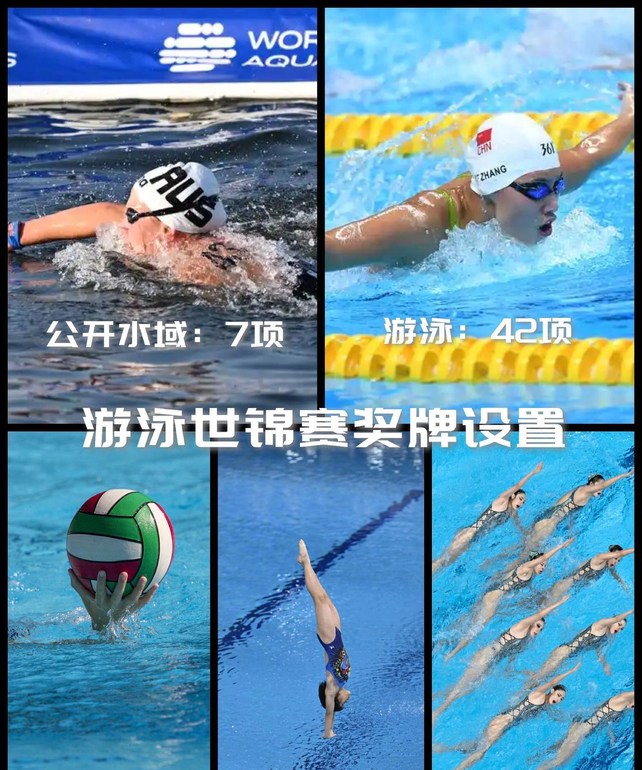 【新加坡游泳世锦赛项目设置！总计77项游泳独占42项占据绝对优势！】游泳世锦赛