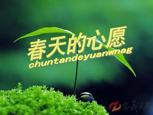 今年春天，我渴望着与大海来一场浪漫的约会。我相信，在那片海边，我会找到内心的宁静