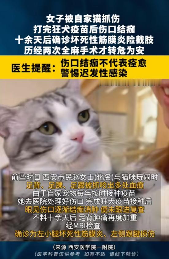 “悲剧还是发生了！”8月12日报道，陕西西安，一女子被自家猫抓伤，她打完狂犬疫苗