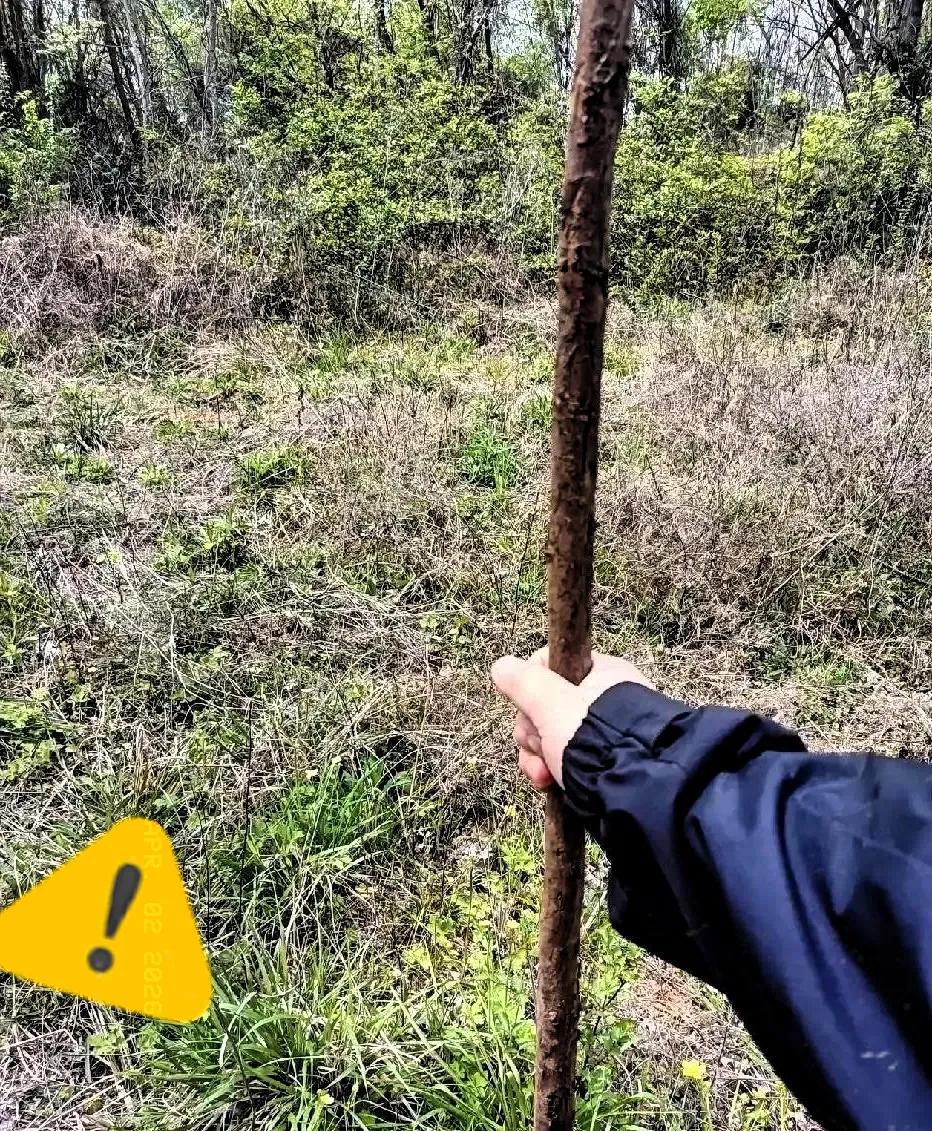 今年清明我看到一个特别现实的事：越是普通家庭，清明上坟的人越少，大多就一两个人