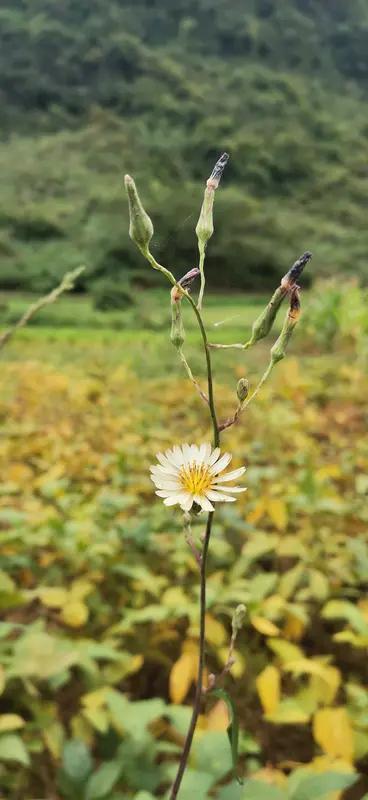 抛开钱不谈，我现在最需要的，是踏实的陪伴、安稳的睡眠，和心里不慌的底
