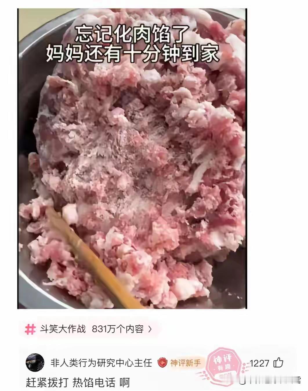 妈妈出门前，让我提前把肉馅拿出来，化冻，包饺子，我玩手机给忘了，这可咋办？求高手