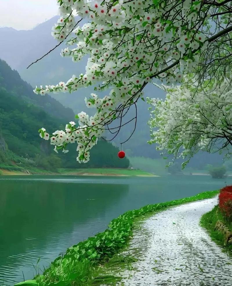 我都吃过广西的12种粉，你吃过几种？1、柳州螺蛳粉，2、桂林米粉，3、南