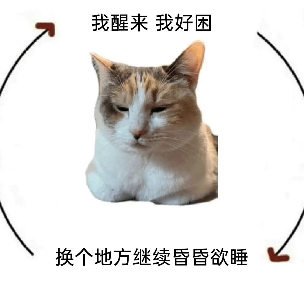 一想到我的耳机在我热热软软的床上睡觉而我坐在这上着难挨的班我就难受