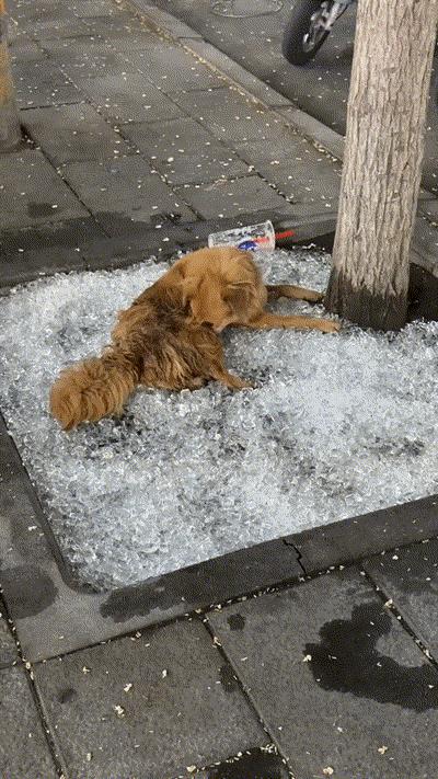 这是我见过最凉的凉席！