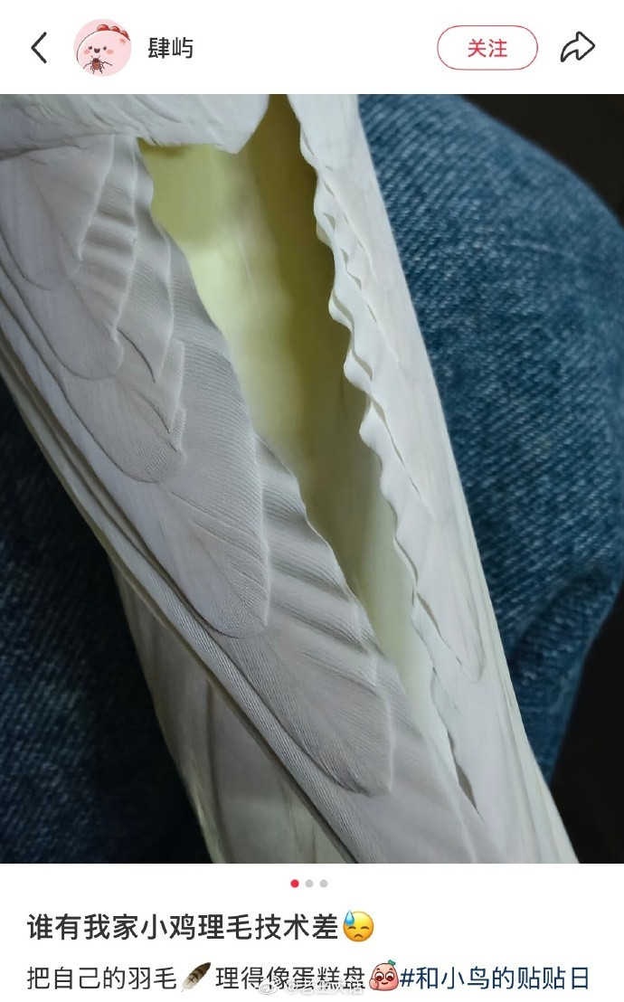 小鸟也有自己的审美