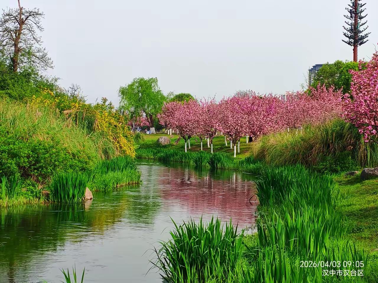 戒掉攀比、踏实过好自己的秘诀1. 把视线从别人身上，收回到自己脚下别人买
