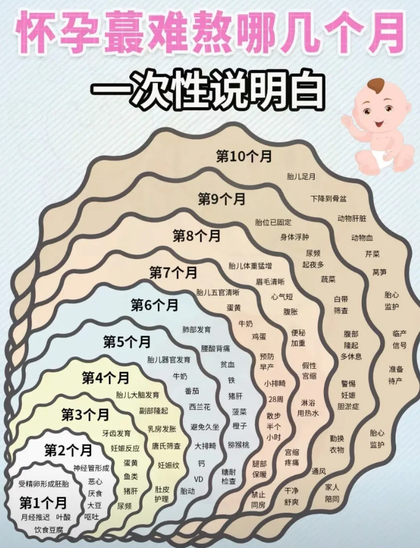 怀孕最难的是那个月？看图，一次性讲明白。别抱有意外心里，每个月都是难的！
