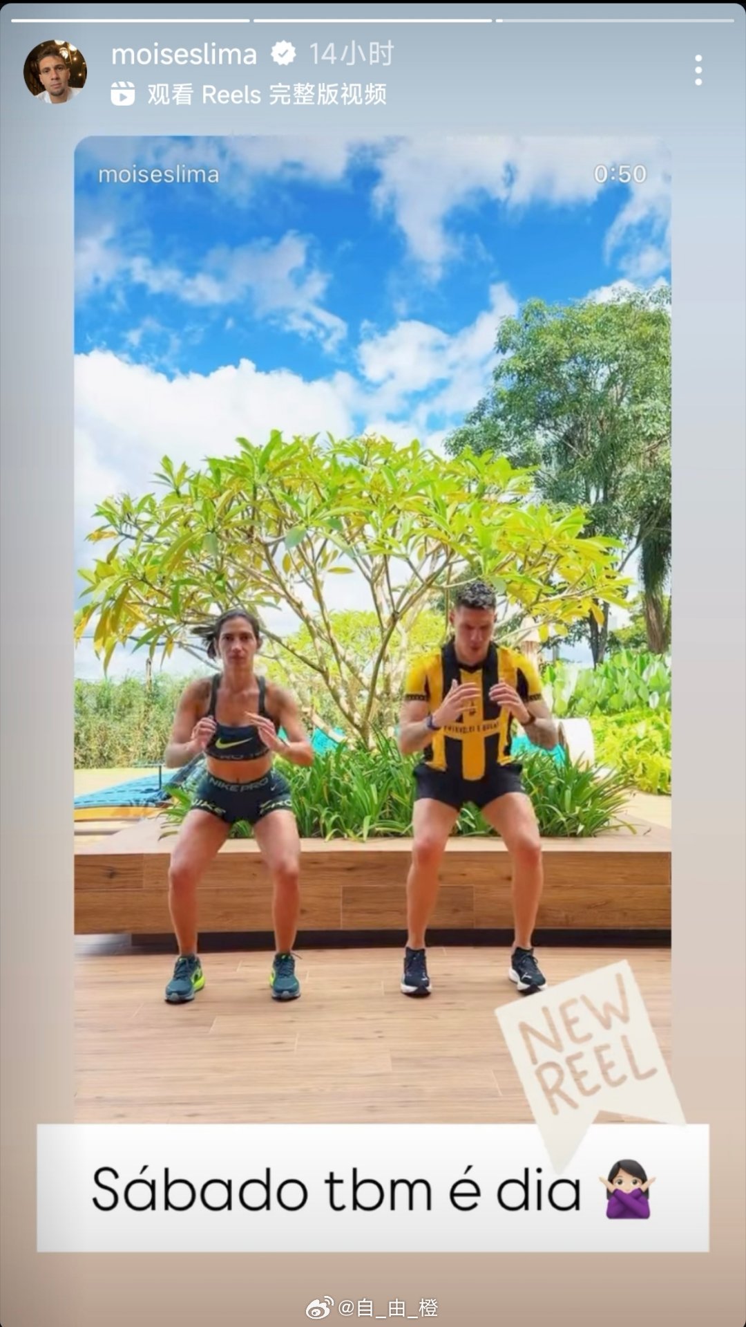 莫伊塞斯动态自由橙山东泰山