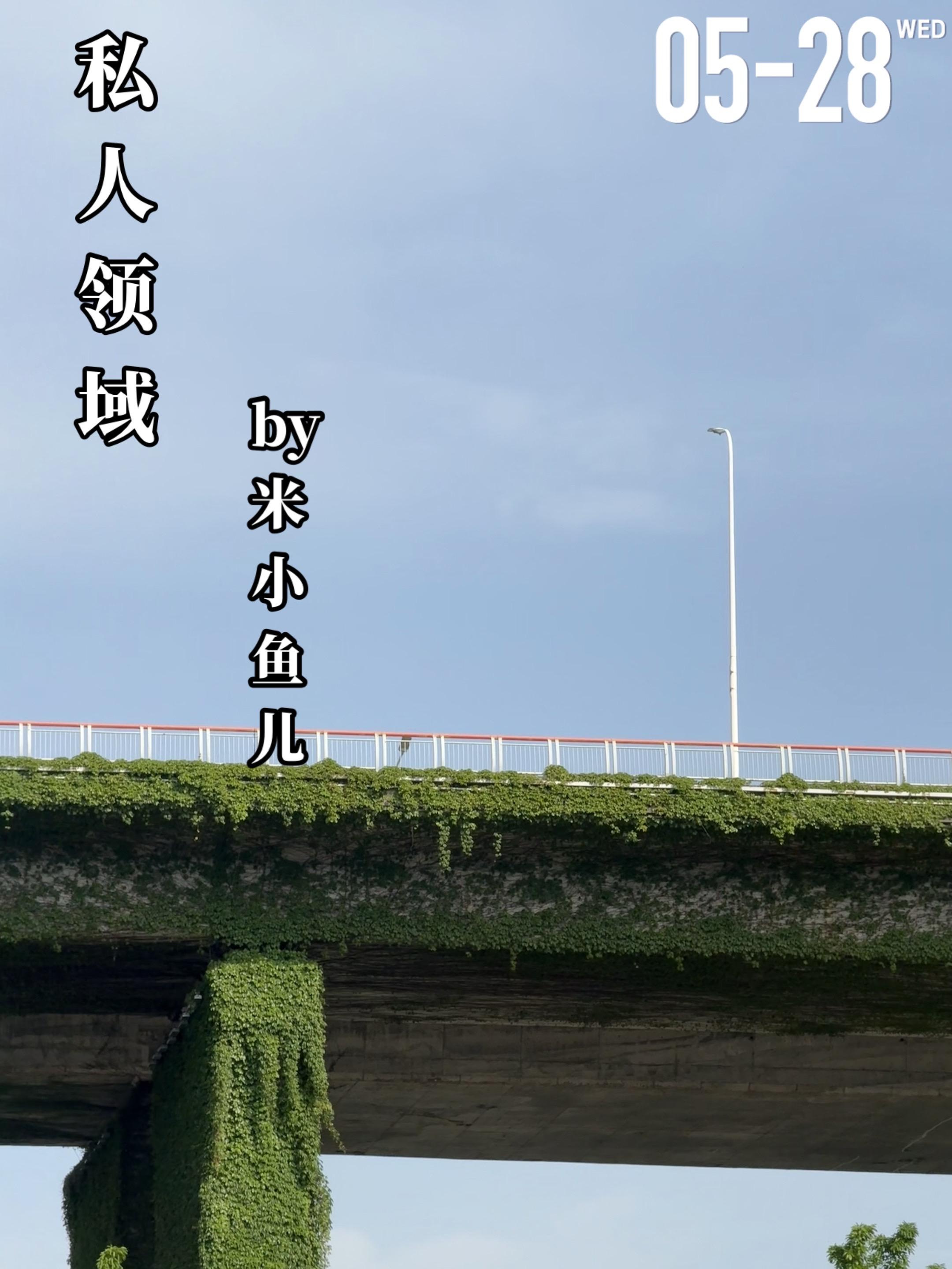 《私人领域》by米小鱼儿。顾西平第一次见荆骆骆就对她生出兴趣，她在9吧...