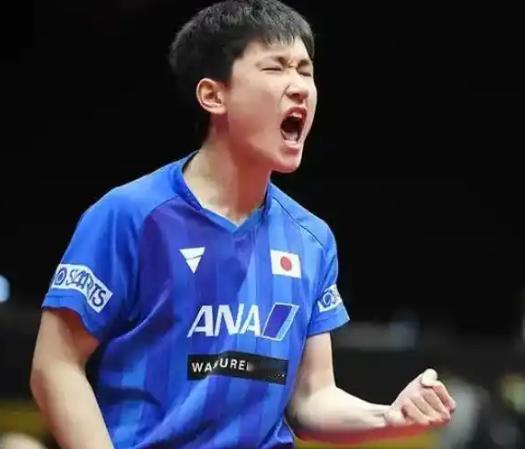 这次日本媒体说了句实话：张本智和只会打中国球员，碰到中国以外协会的选手，此前输给