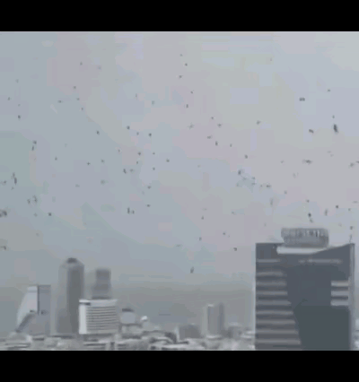 在以色列特拉维夫上空和街头出现大量乌鸦，遮天蔽日，许多人认为这是“末日的预兆”