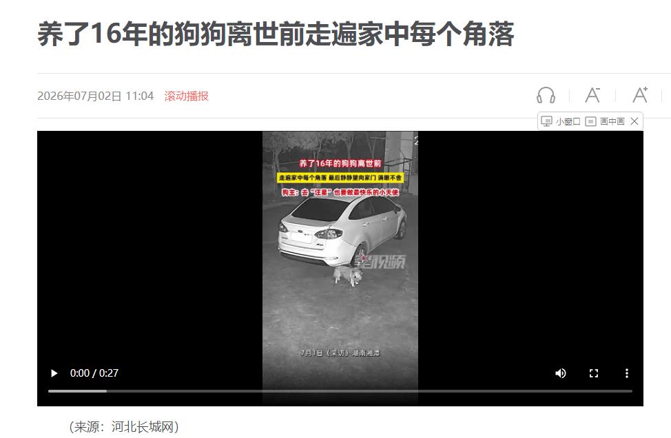 万物皆有灵！湖南湘潭，一女子下班回家，发现陪伴了16年的爱犬已经冰冷僵硬。她心痛