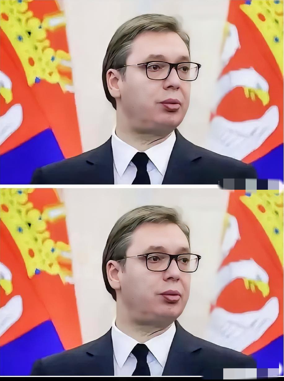 就在刚刚得知塞尔维亚总统突然宣布了匈塞铁路塞尔维亚段全线通车，武契奇坐完