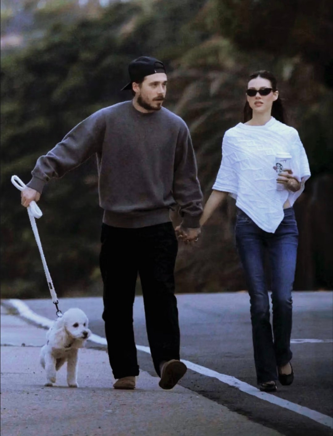 与贝克汉姆家族决裂后，布鲁克林和妮可拉首现身，两人在加州遛狗被拍。