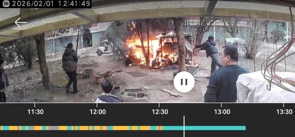 被烧死萨摩耶主人发声狗死不能复生。让对方赔偿6,000元，起码也是给它个教